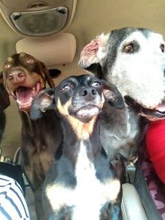 We going for a hike?