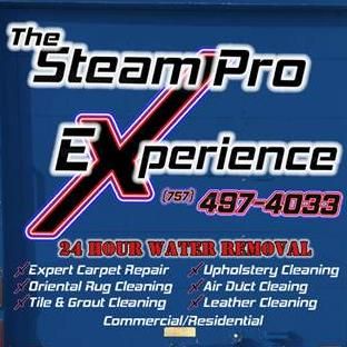 Steam Pro Carpet Care