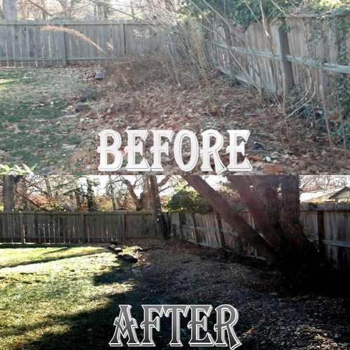 Backyard Rock Garden Fall Cleanup:
Before and Afte