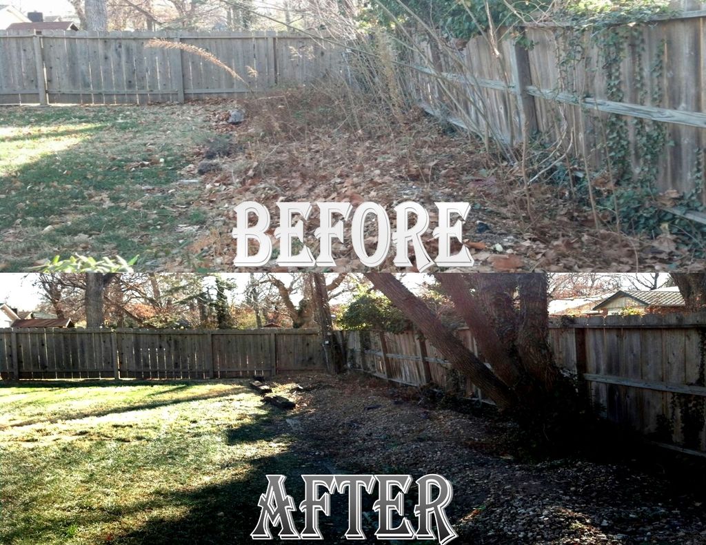 Backyard Rock Garden Fall Cleanup:
Before and Afte