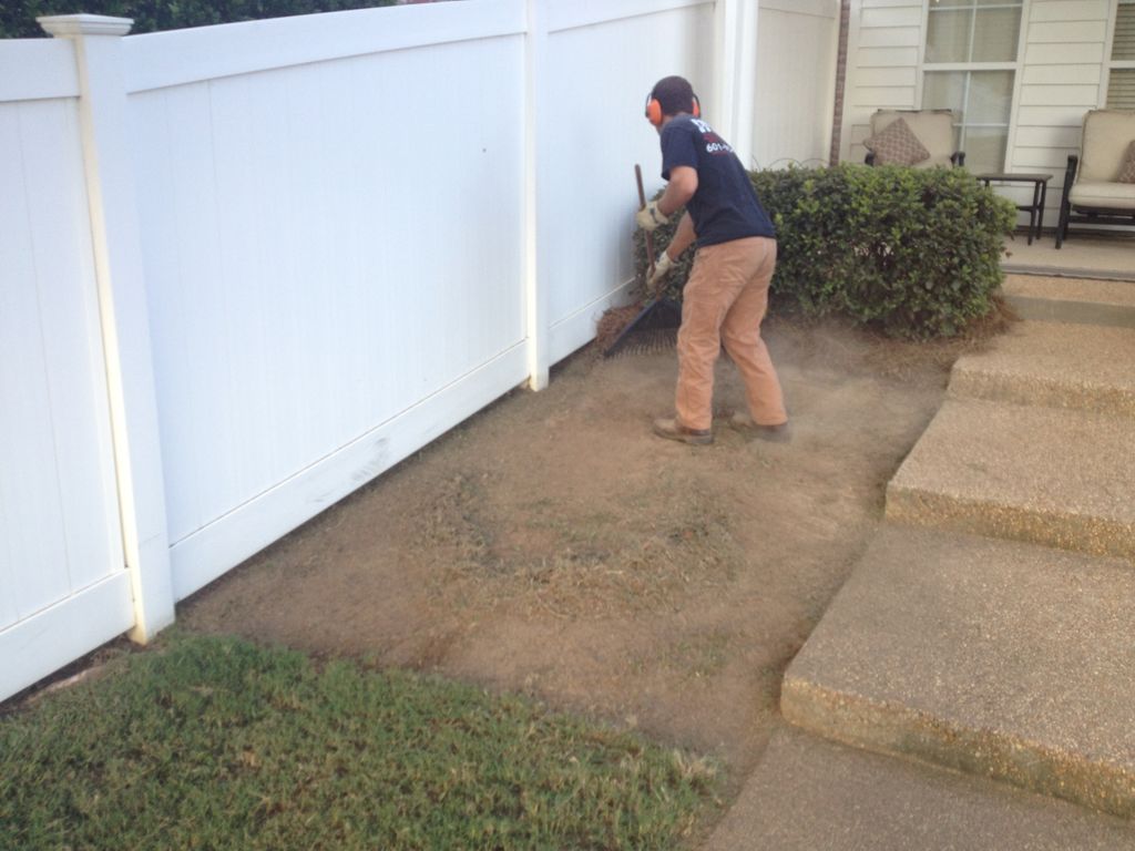Ground-prep for sod installation to follow.