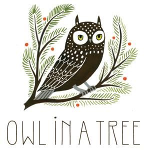 Owl In A Tree