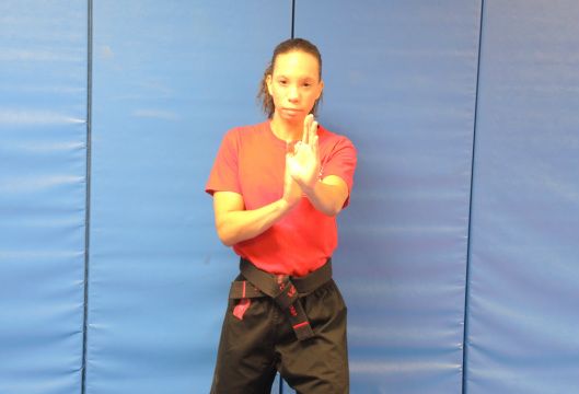 Sensei Cat teaches Real World Self Defense & Defen