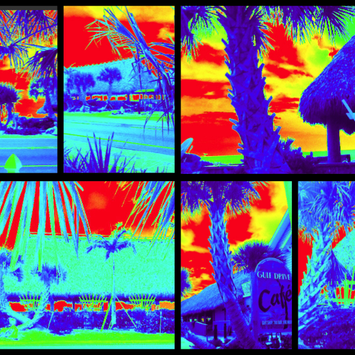 "Thermal" Image photography
