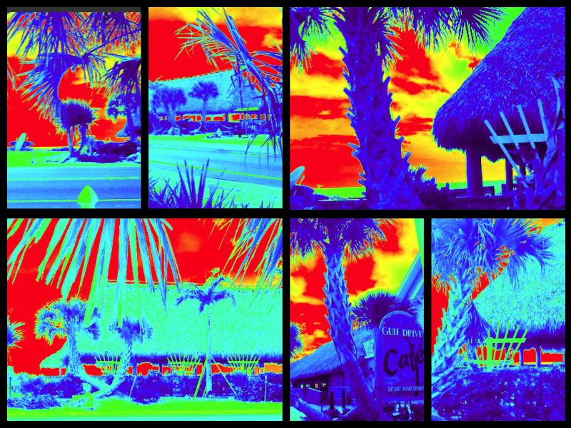 "Thermal" Image photography