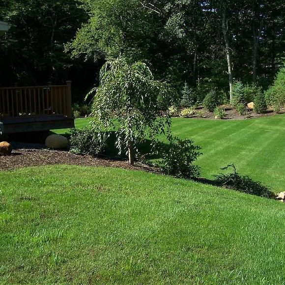 Cut Right Lawn Care & Snowplowing