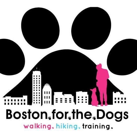 Boston for the Dogs