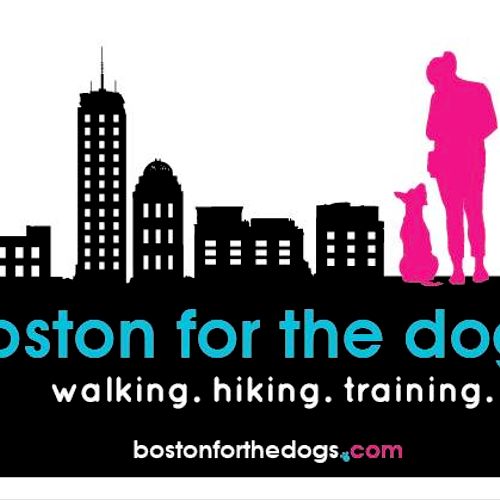 Boston for the Dogs is a giant, supportive and loy