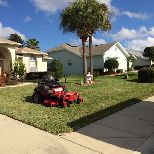 Mowing, Hedge Trimming, and Palm Trimming