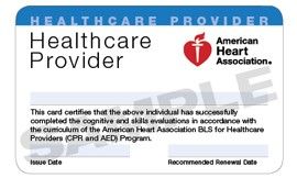 BLS Healthcare Provider - GAcprclasses.com - Conye