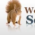 Westchester Squirrel Removal