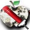 Big Apple Mold Removal