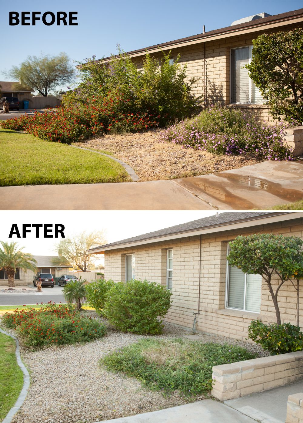 Your yard will look better than ever!