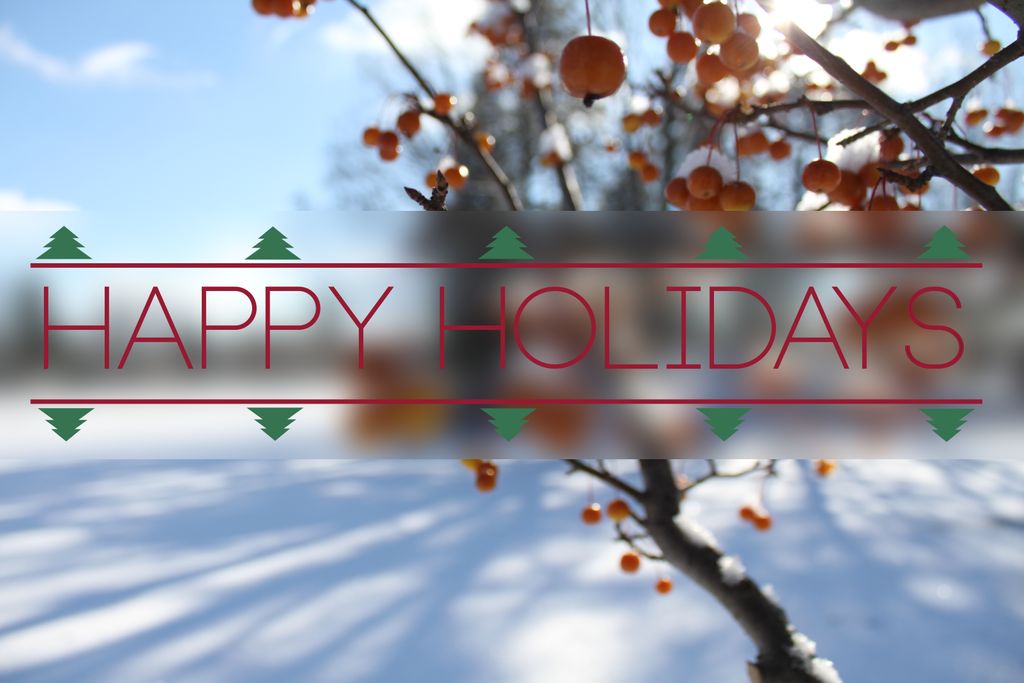 Happy Holiday website banner