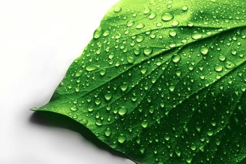 Eco-Friendly cleaning
