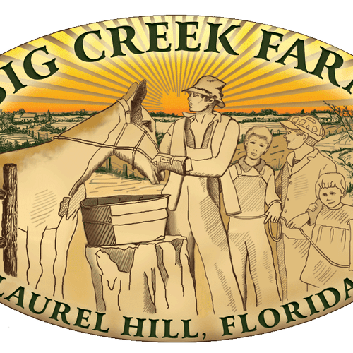 Big Creek Farm, Laurel Hill Florida - logo, busine