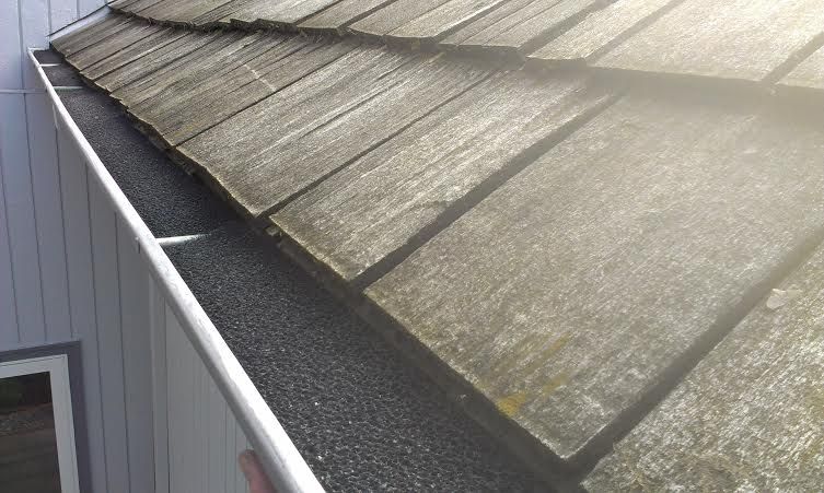 Protect you Gutters, Downspouts and Drainage with 