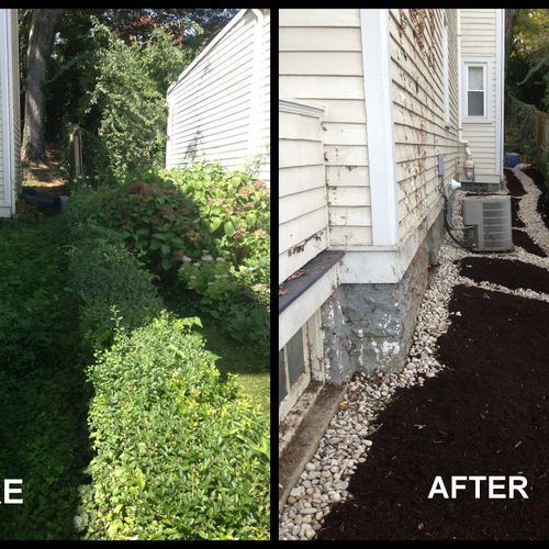 Before and After clearing out weeds and bushes, ad