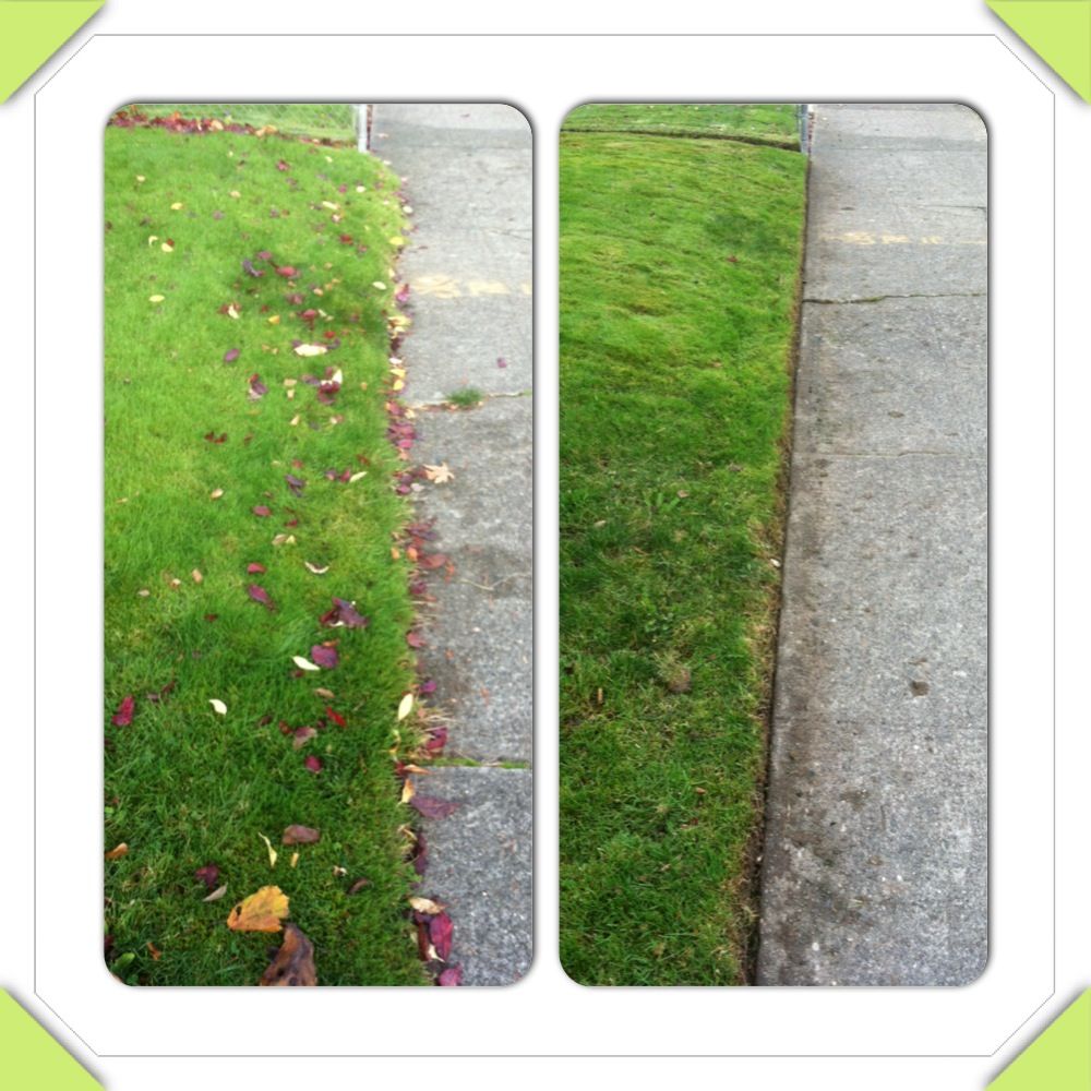 Edging give your lawn that professional look