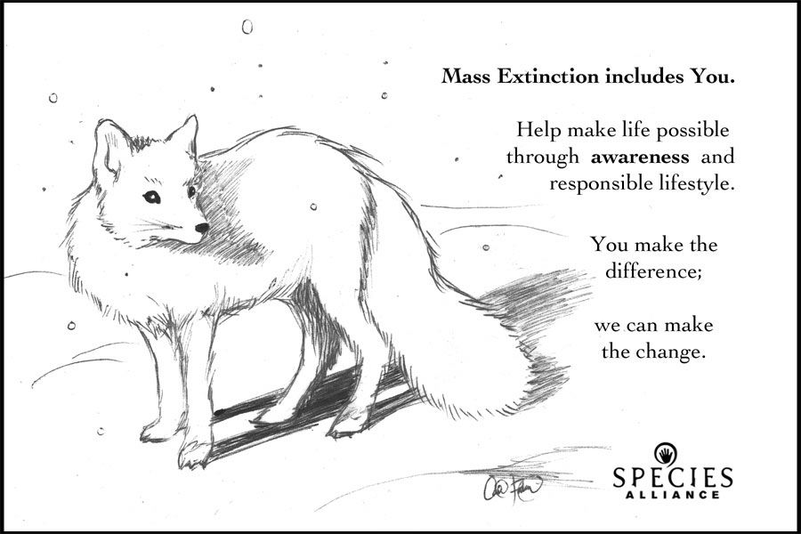 A simple ink drawing for the Species Alliance.