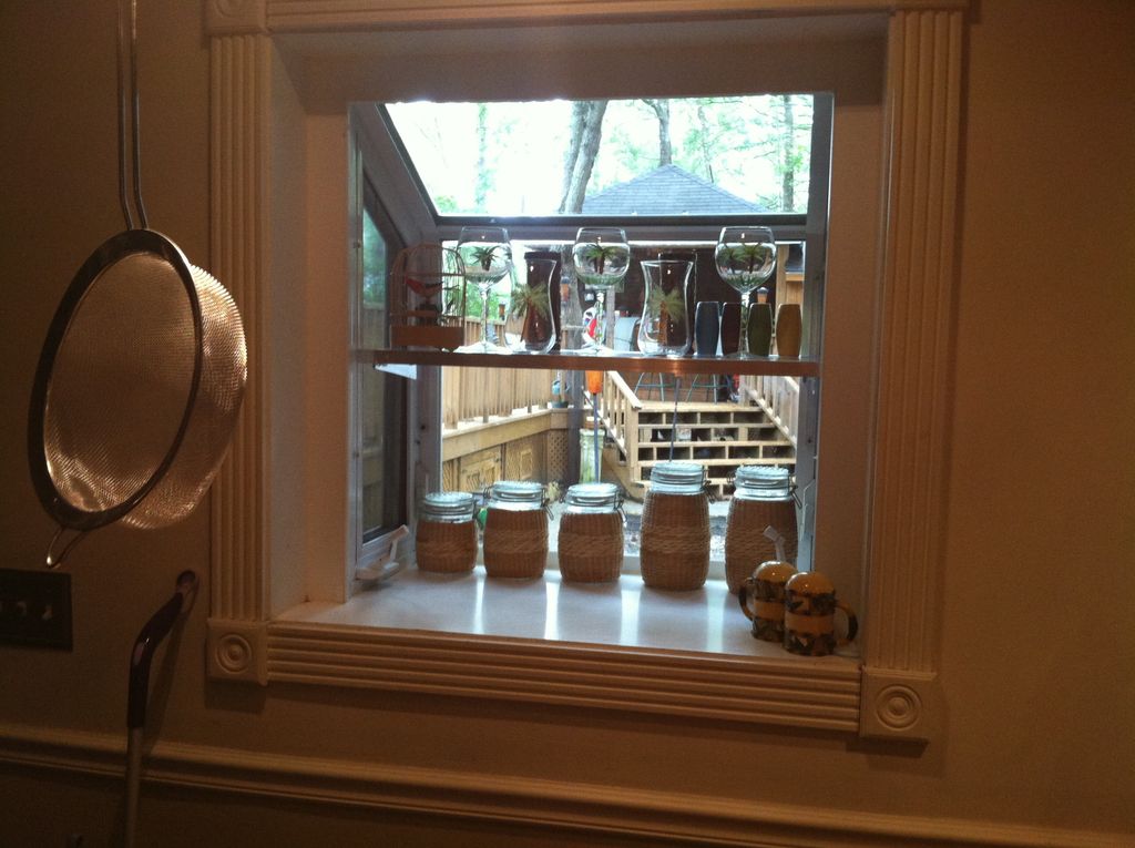 This garden window was so cluttered with stuff you