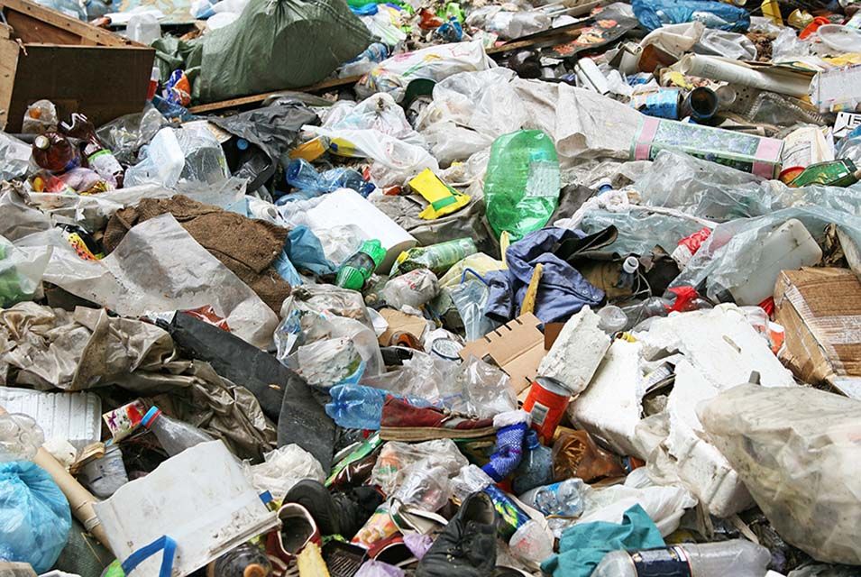 let us do your trash take out