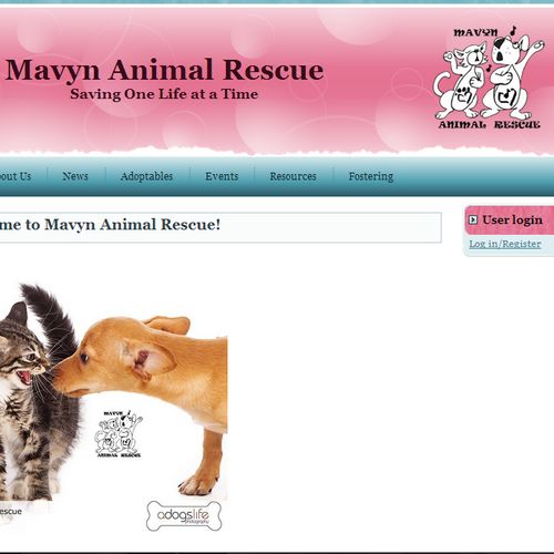 Custom website for Mavyn Animal Rescue in Phoenix,