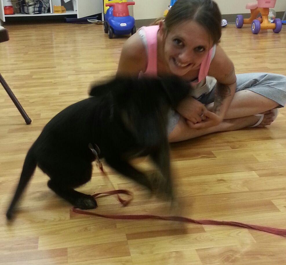 Fun Puppy Classes