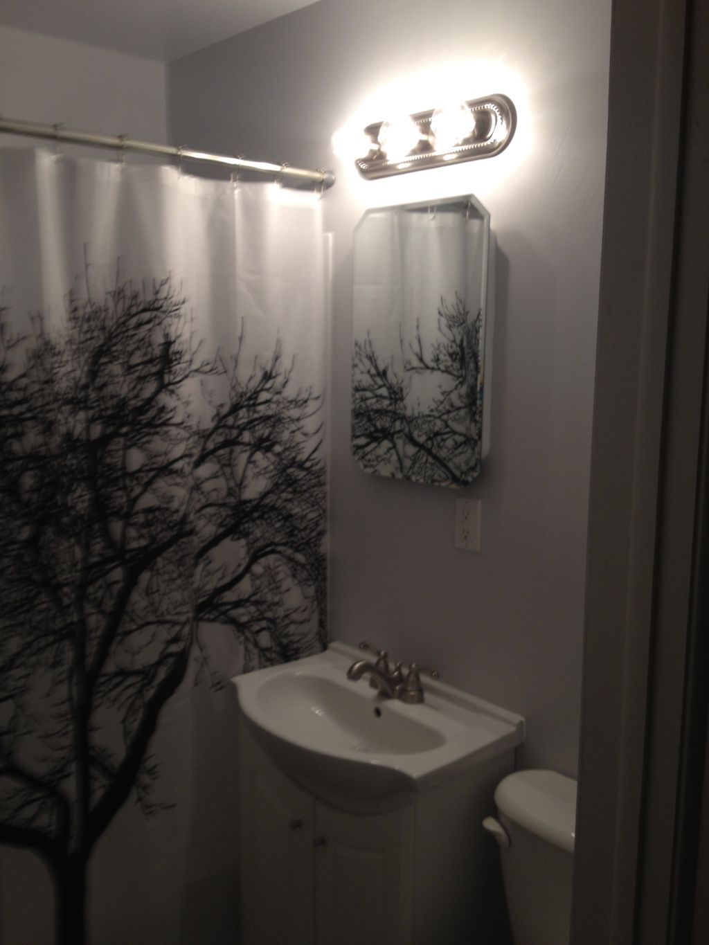 Complete Bathroom Gut and Remodel
