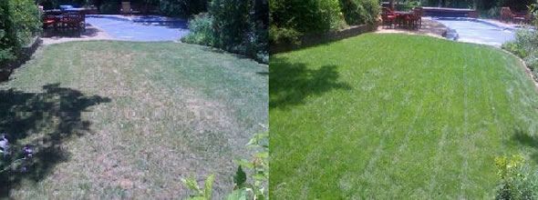 Another lawn made green and beautiful again!