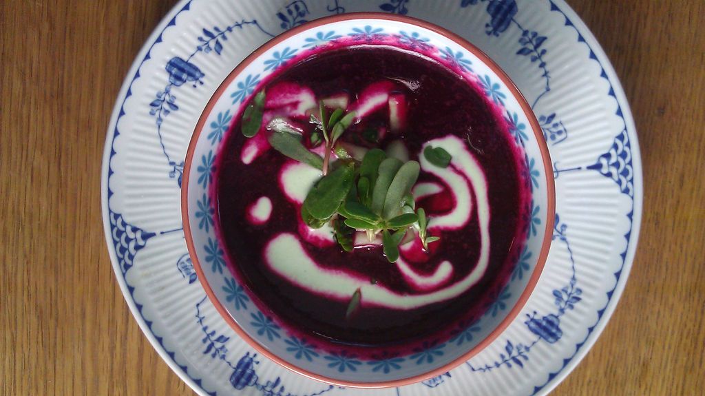 Chilled Beet Soup with Purslane and Yogurt