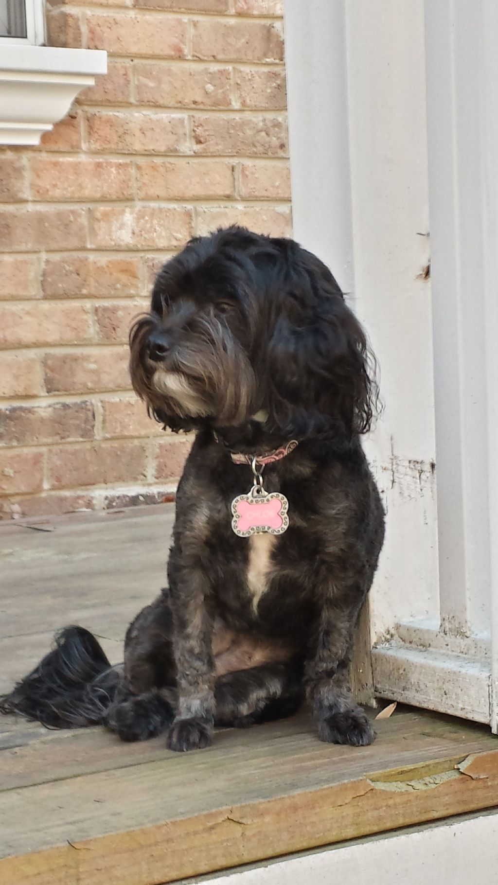 Chloe - Sweet little girl that I have been watchin