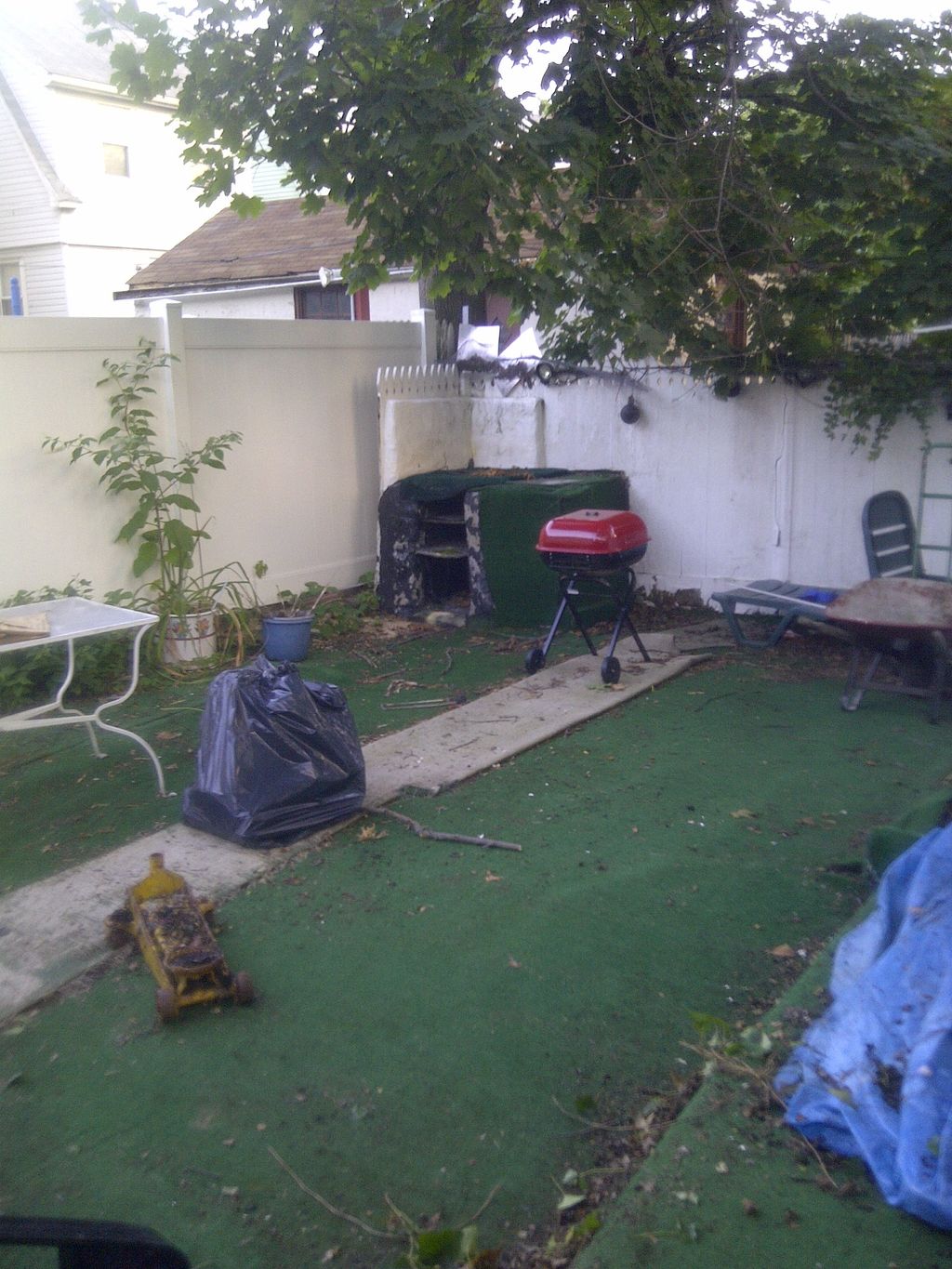 back yard clean up