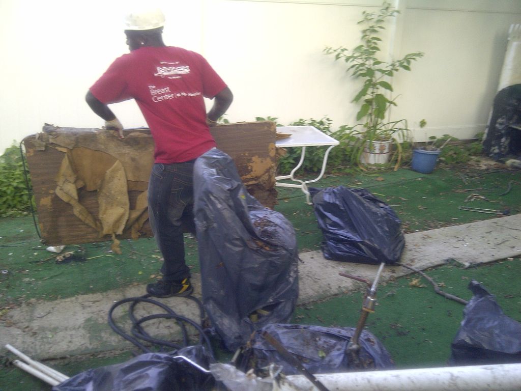 back yard clean up