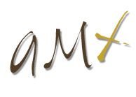 AMX Events