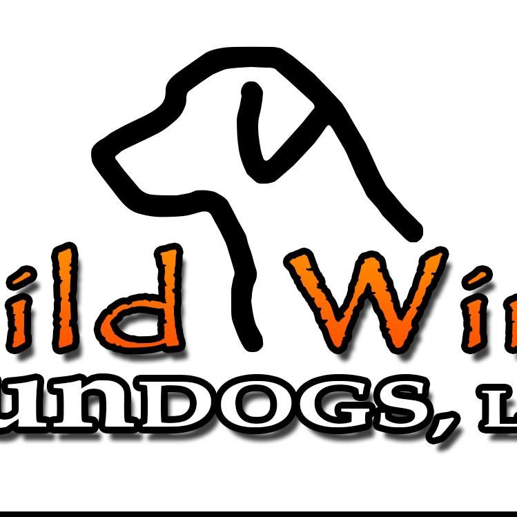 Wild Wind Gun Dogs