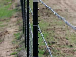 BARB WIRE FENCE