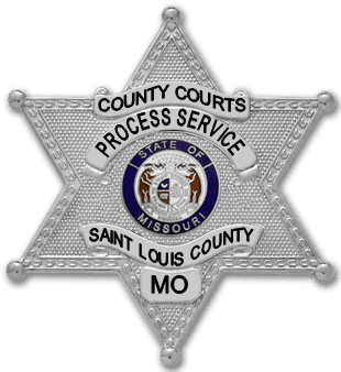COUNTY COURTS PROCESS SERVICE
