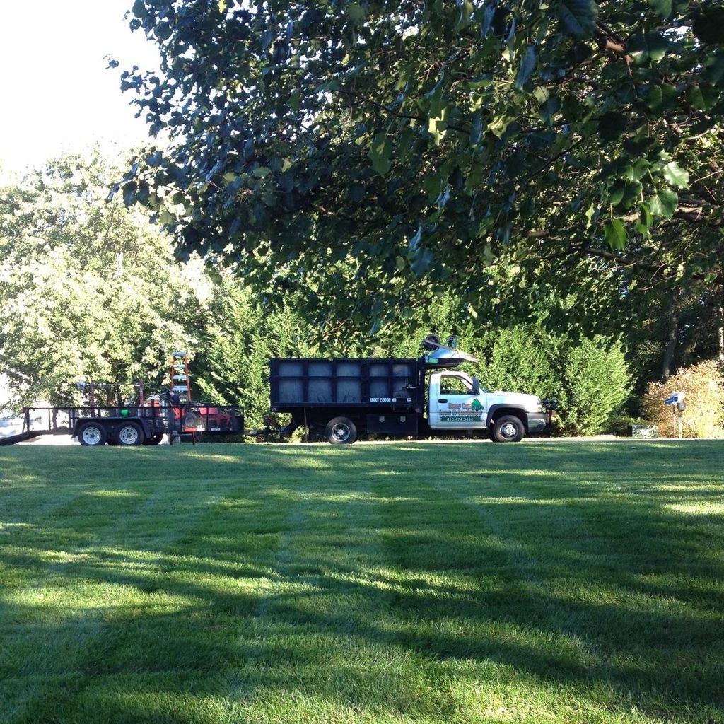 Honey Cove Landscaping and Tree Services