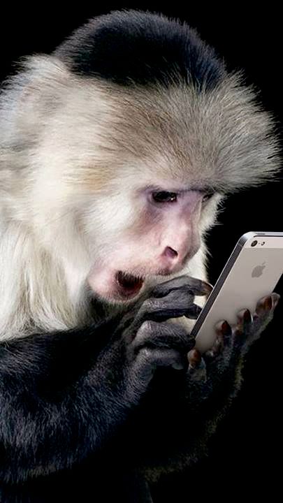 NOTHING TO FIND
Â© By Judith Froemming 2012

"The 