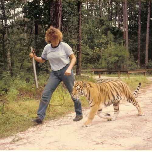 Animal trainer for over 30 years