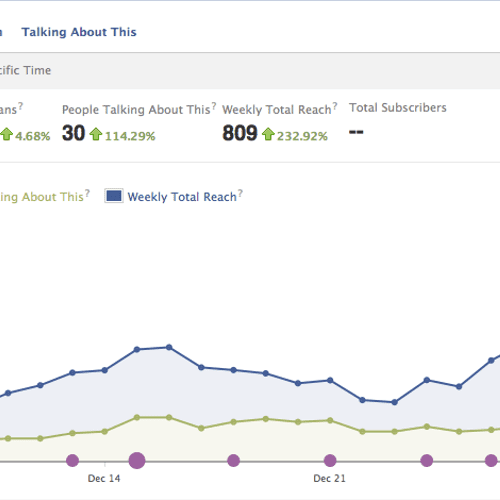 Facebook analytics for a small business client.