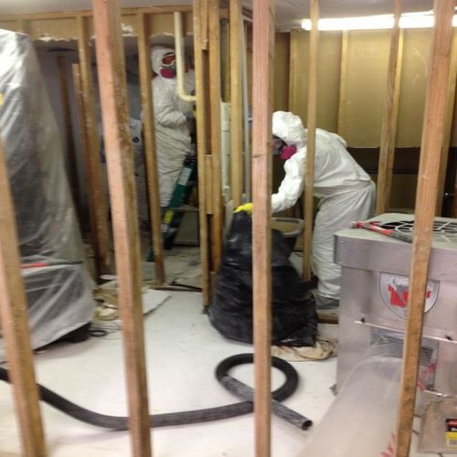 Full Mold Remediation - We Are Licensed - No Job T