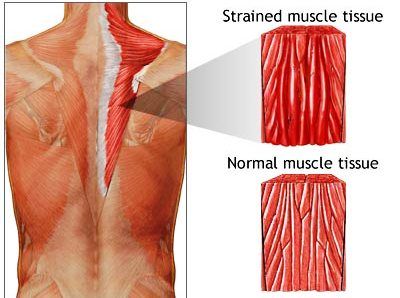 Your body has layers of muscles.  It is not always