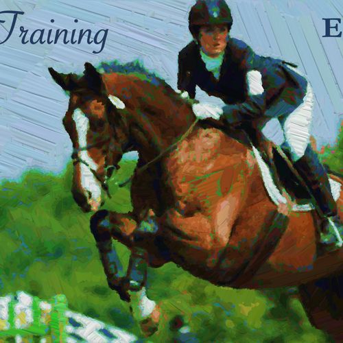 Riding Lessons, Horse Boarding, Training, Springbo