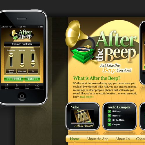 mobile app + promotional website