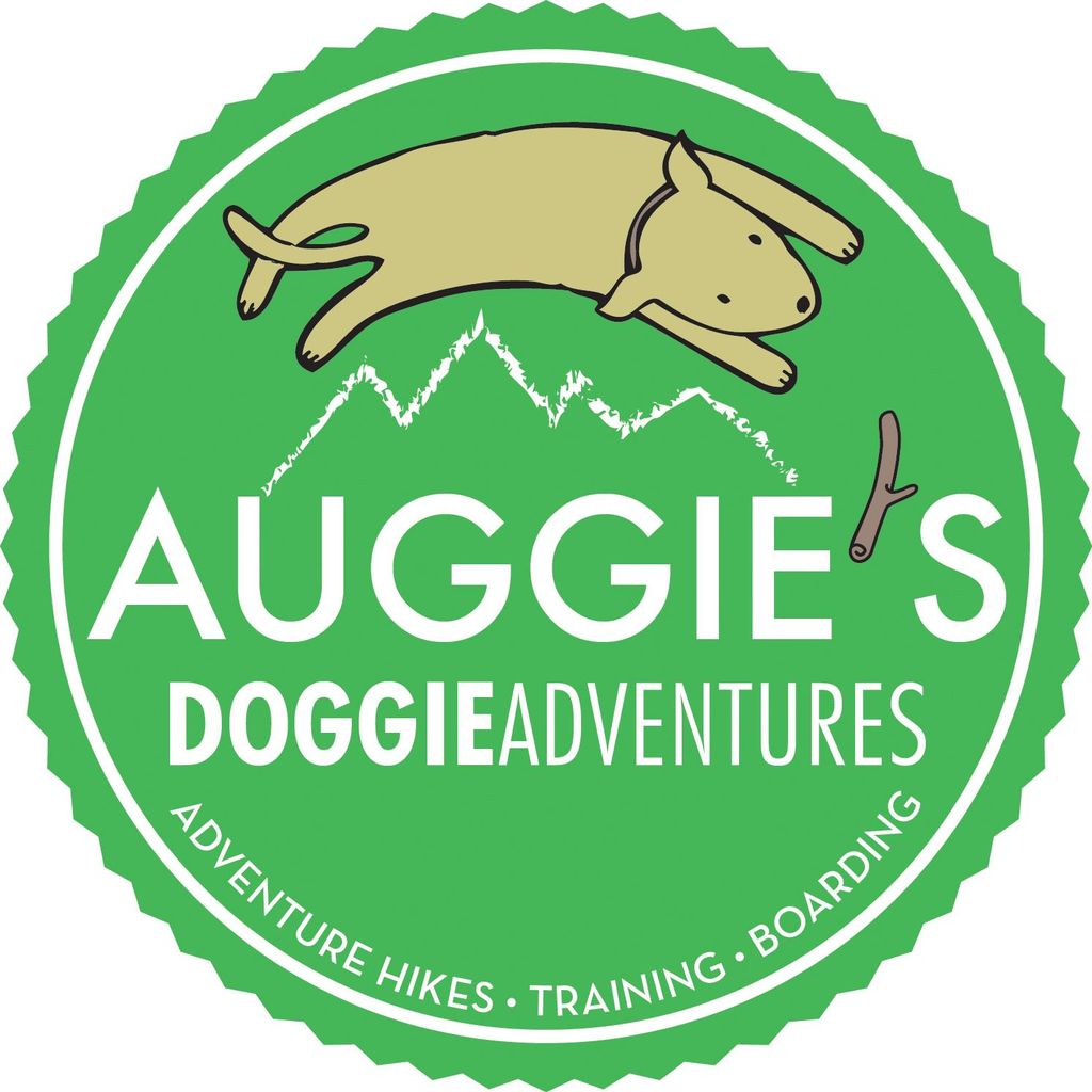 Auggie's Doggie Adventures