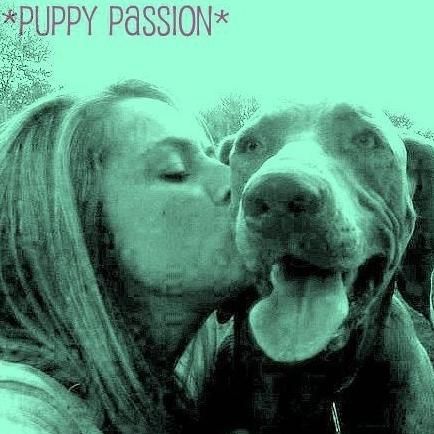 Puppy Passion