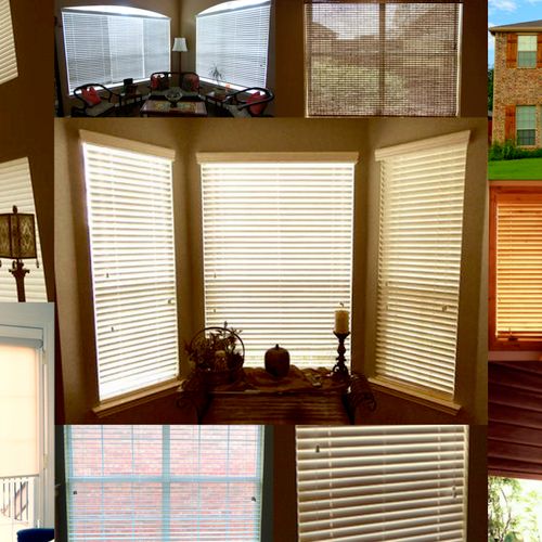 Blinds & Shades