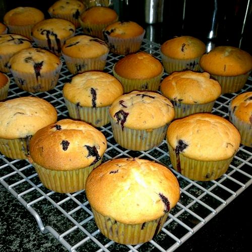 Double Blueberry Muffins...